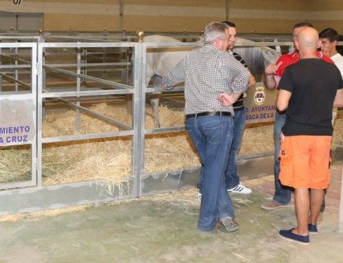 Feria del Caballo