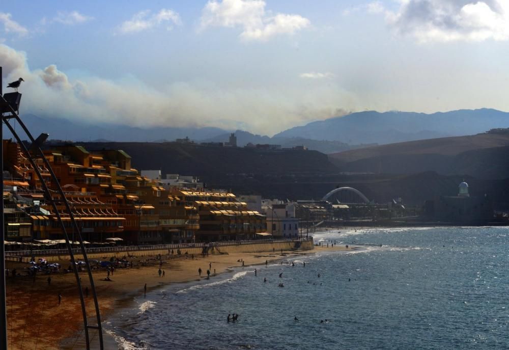 Incendio en Tejeda