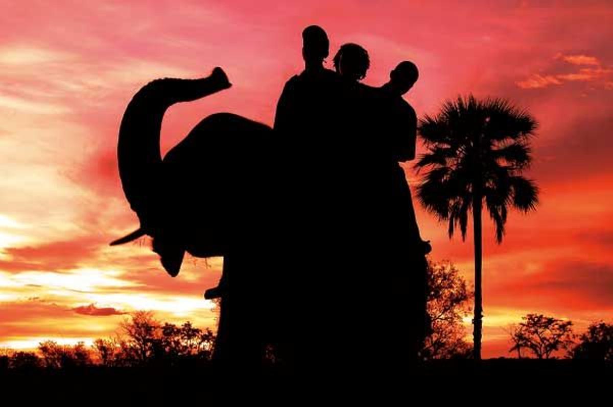 En tierra se puede realizar un safari a lomos de elefante.