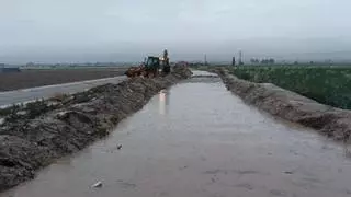 El campo murciano se salva de la violencia de la DANA y agradece las lluvias tardías