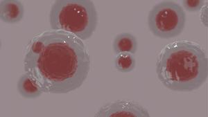 Uns científics creen tires de cèl·lules mare que "curen cors trencats"