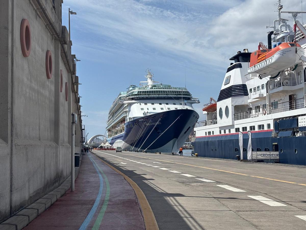 Cruceros en el Puerto chicharrero.