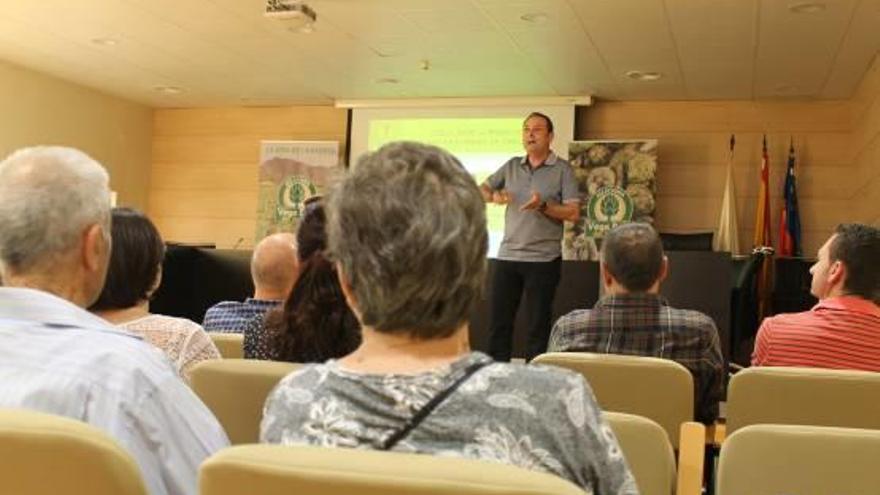 Protagonismo para la alcachofa