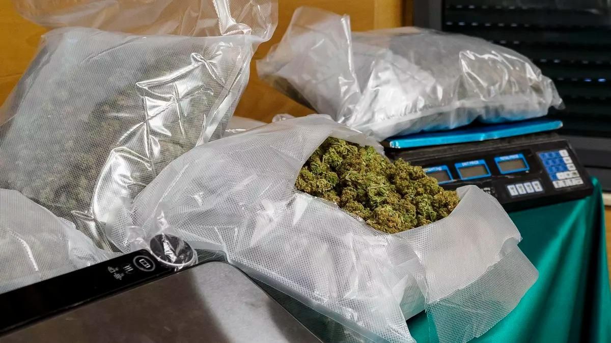 Marihuana incautada por la Guardia Civil, en una imagen de archivo.