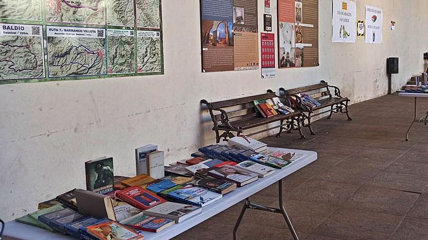 Liberación de libros en los porches del ayuntamiento, por la mañana. | SERVICIO ESPECIAL