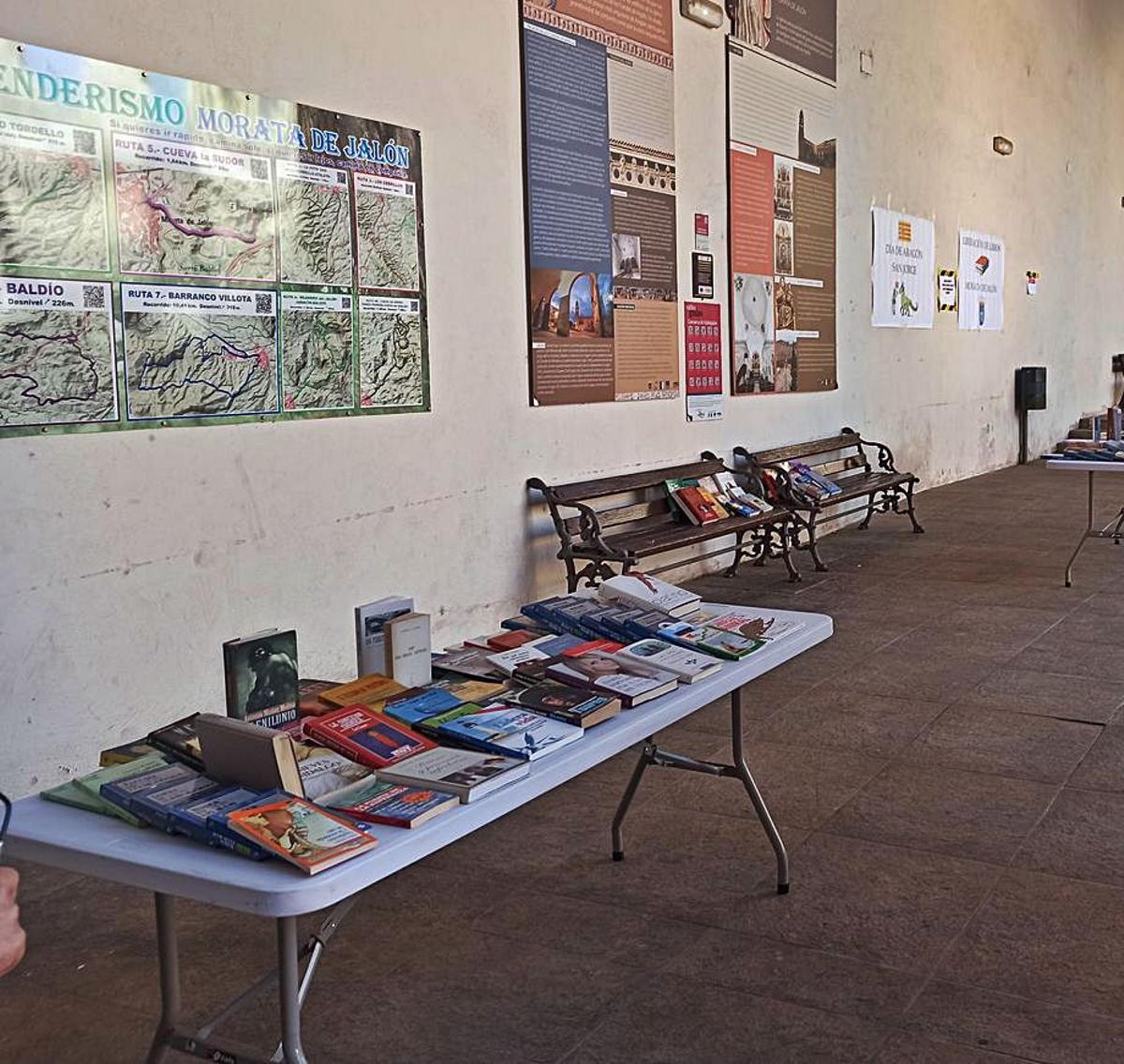 Liberación de libros en los porches del ayuntamiento, por la mañana. | SERVICIO ESPECIAL