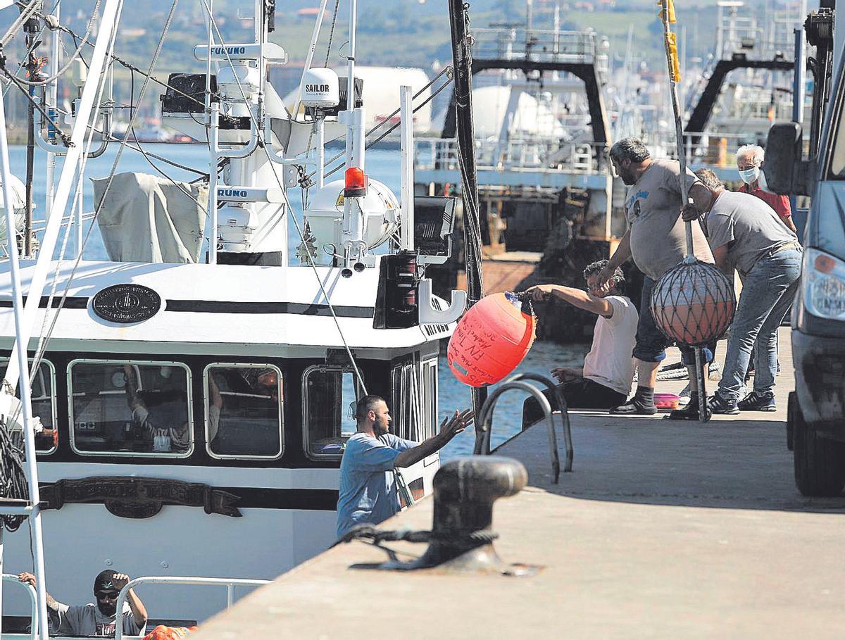 Barcos de la costera de bonito, a su llegada a puerto en Avilés (Asturias).