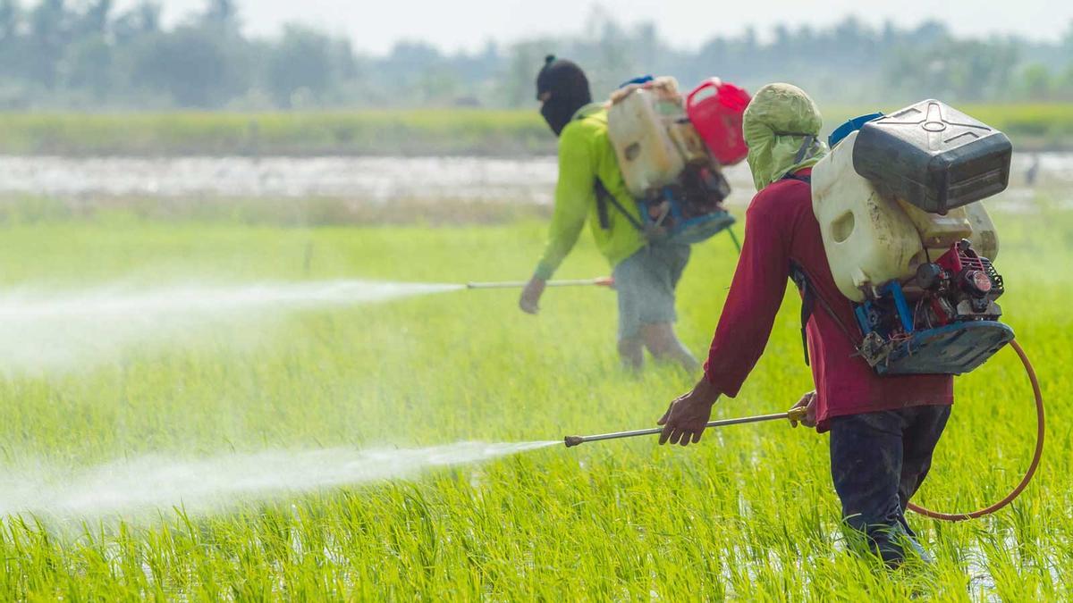Dos tercios del suelo español está contaminado por plaguicidas Dos tercios del suelo español está contaminado por plaguicidas