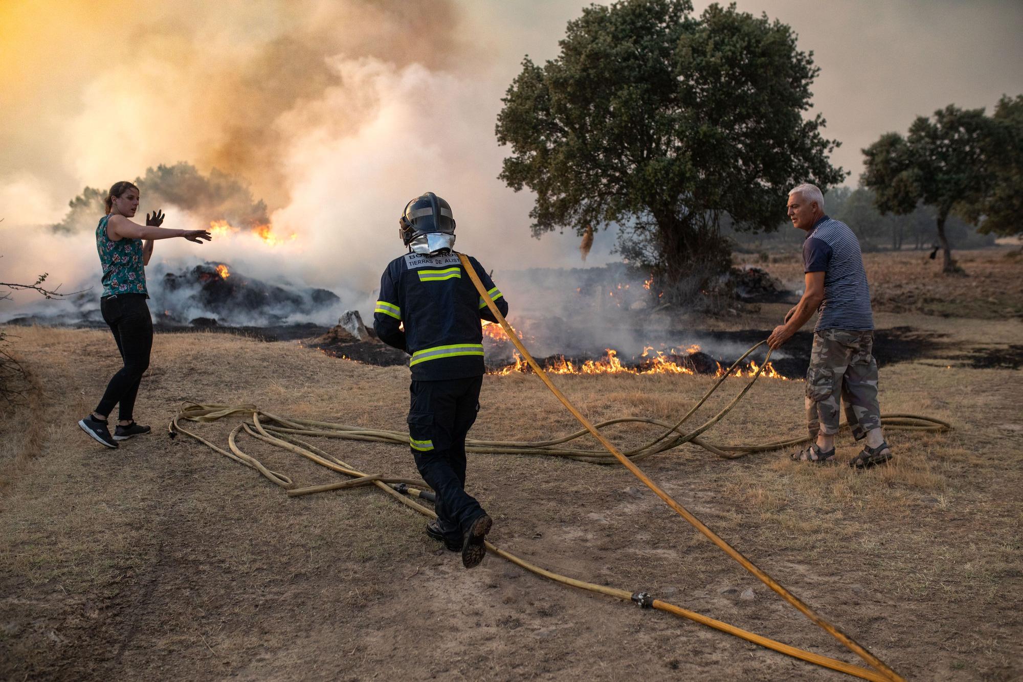 So wüten die Waldbrände während der Hitzewelle in Spanien
