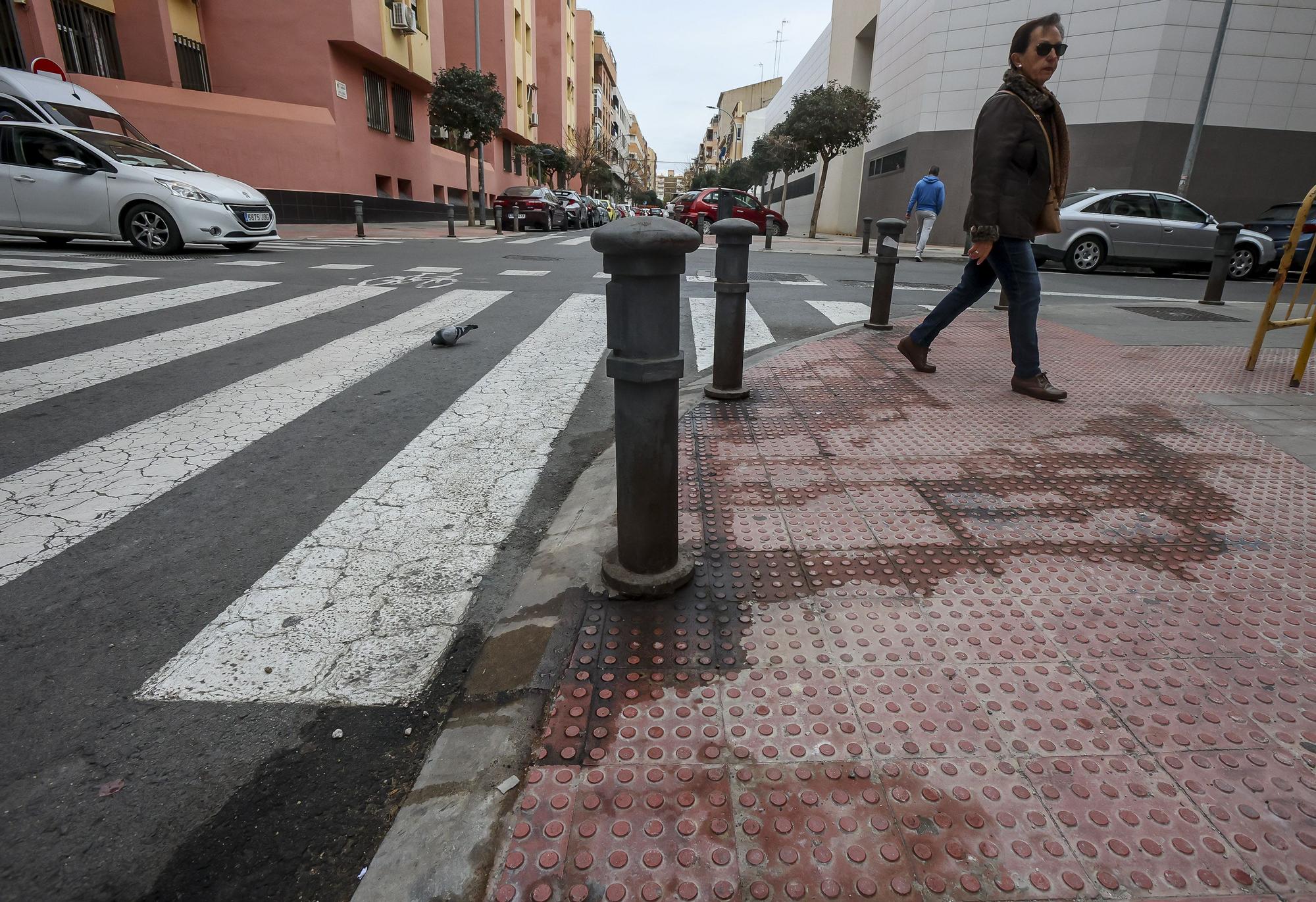 Las palomas y la suciedad toman el barrio de Benalúa