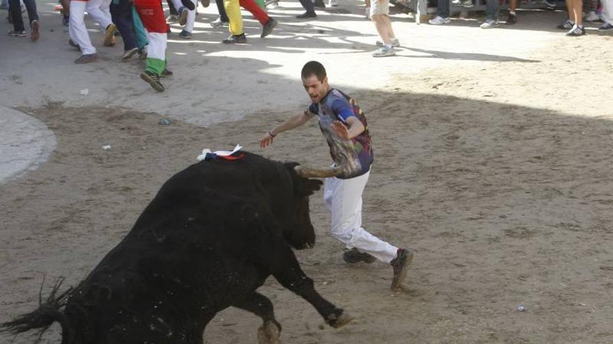 El mundo del toro mueve más de 35 millones de euros al año en Castellón