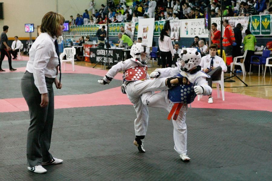 Open de Taekwondo