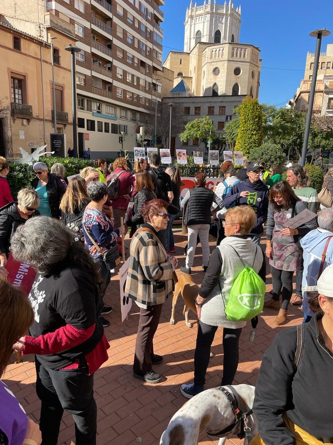 1.000 personas piden el fin de la caza en Castelló