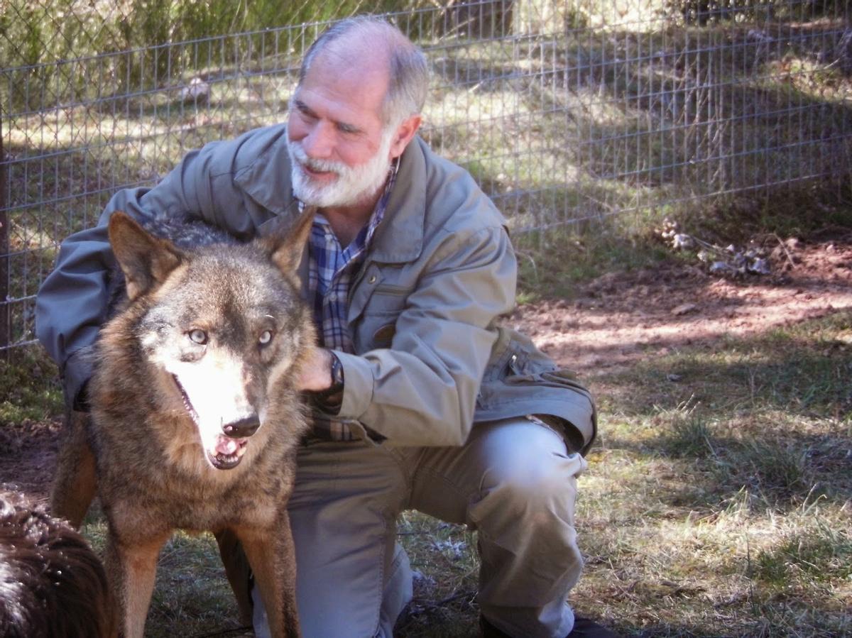 El experto español en lobos Carlos Sanz, con un ejemplar