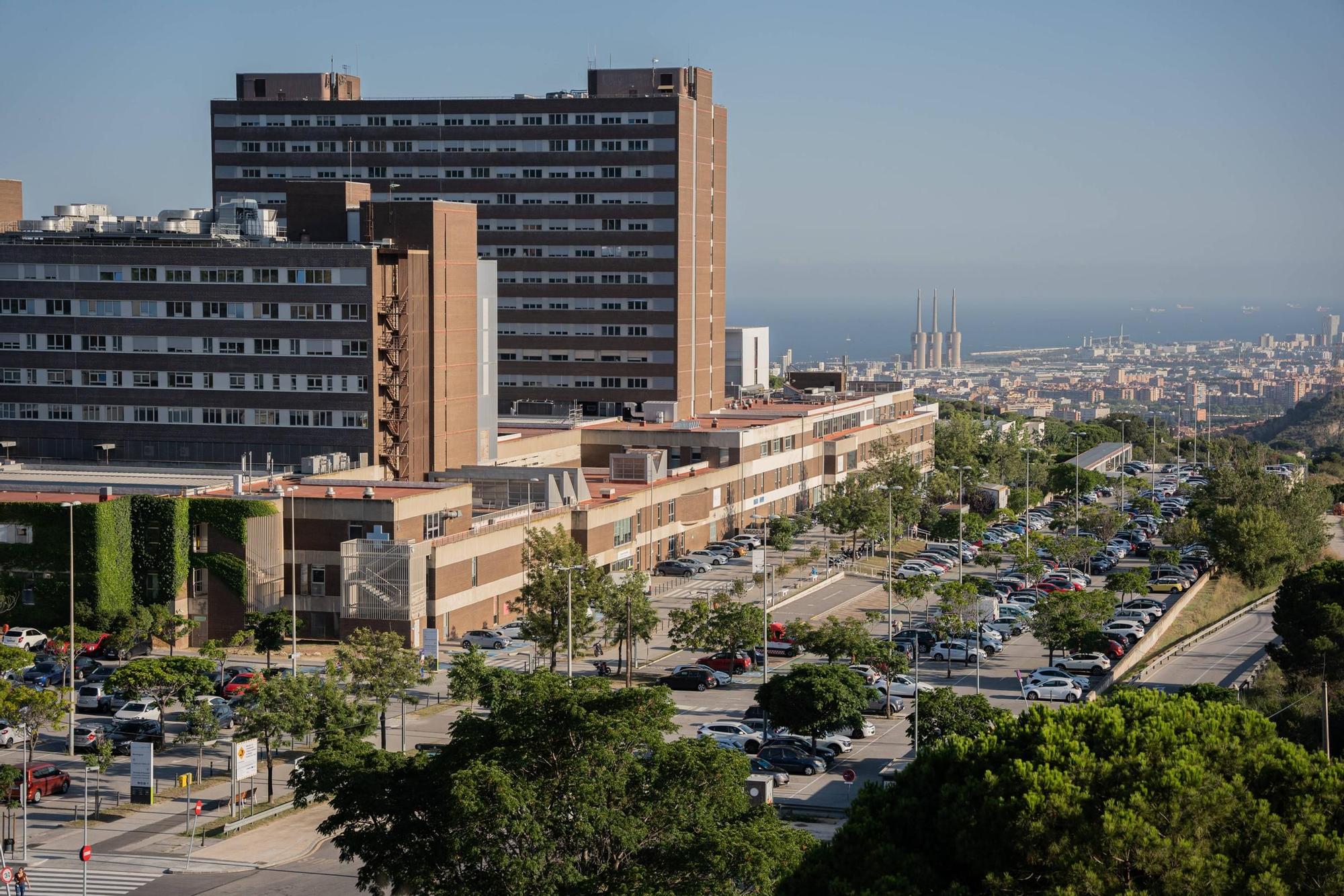 HOSPITAL CAN RUTI Revoluci n Urban stica En Can Ruti Badalona Lo 