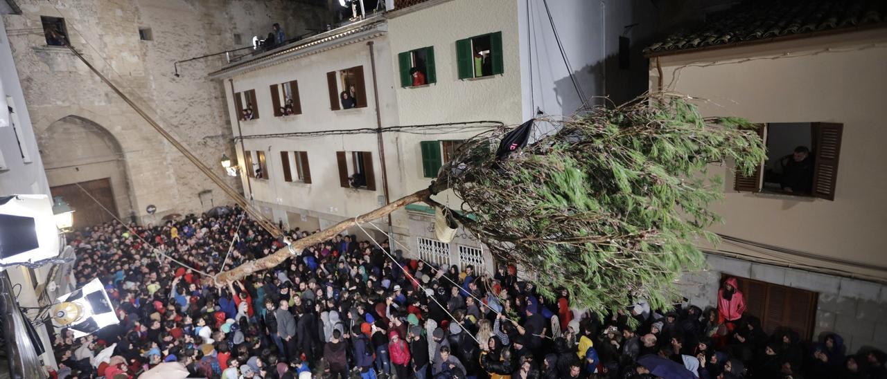 Imagen de una pasada edición de la fiesta del Pi de Sant Antoni en la Plaça Vella de Pollença.