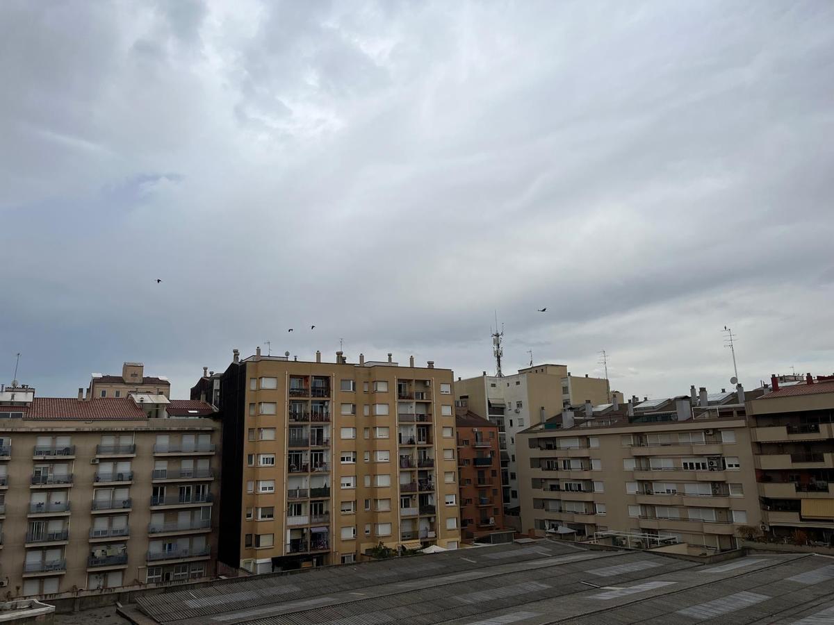 Un estol de cigonyes per Manresa Un estol de cigonyes per Manresa