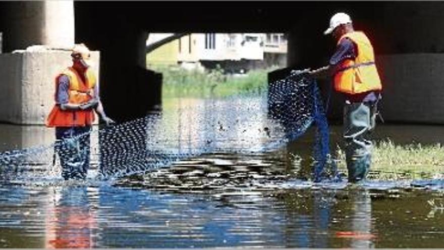 Dos operaris posant una xarxa al riu Onyar, l&#039;any 2007, per evitar que els peixos anessin a una zona seca.