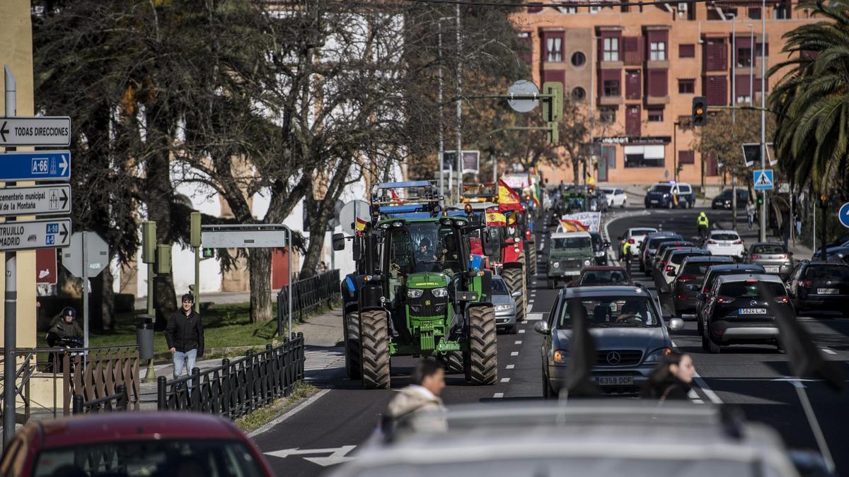 Tractores a su paso por la plaza de toros de Cáceres.