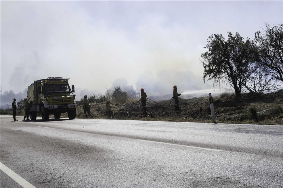 Incendio forestal en Cáceres