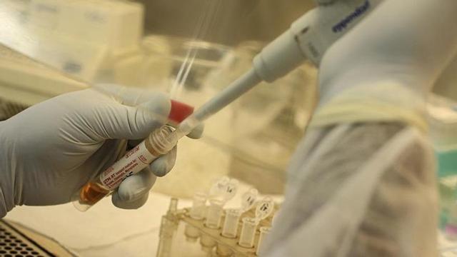 Málaga atiende a casi la mitad de los enfermos de coronavirus de Andalucía