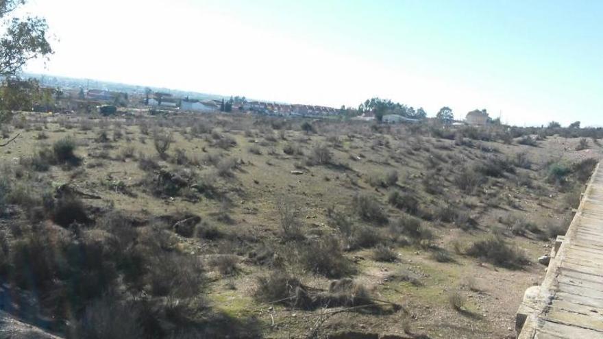 Terrenos de La Hoya pertenecientes al promotor fallecido Miguel Gatell Alberich.