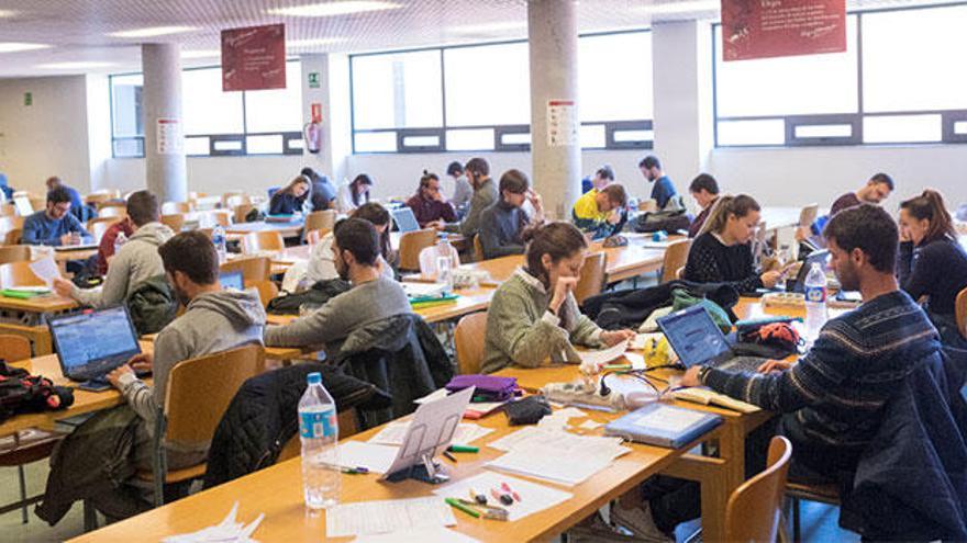 De esos 500.000 euros de ayudas, alrededor de 25.000 se emplearán en premios a la excelencia académica.