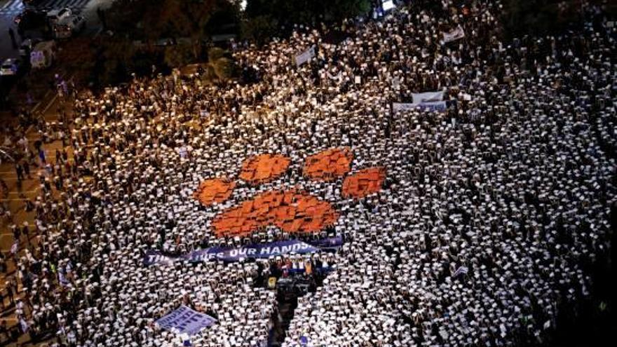 Manifestació multitudinària a Tel Aviv pels drets dels animals