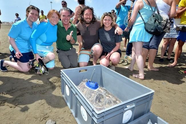 18/03/2016 PLAYA DEL INGLES, SAN BARTOLOME DE TIRAJANA. Suelta de tortugas bobas en Playa del Ingles. Foto: SANTI BLANCO