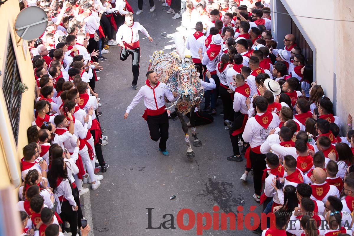 Caballos del Vino en la cuesta de la Simona