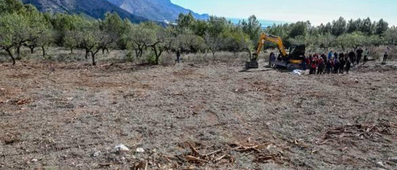 Una de las parcelas arrasadas por las máquinas tras un brote de Xylella cercano.