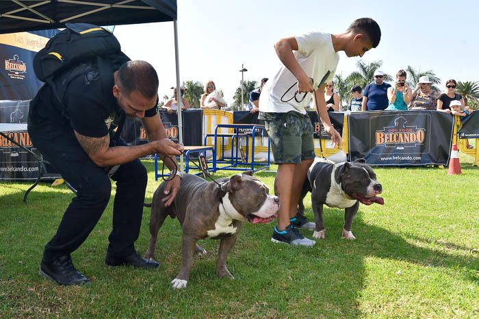 II Feria de mascotas, en Maspalomas