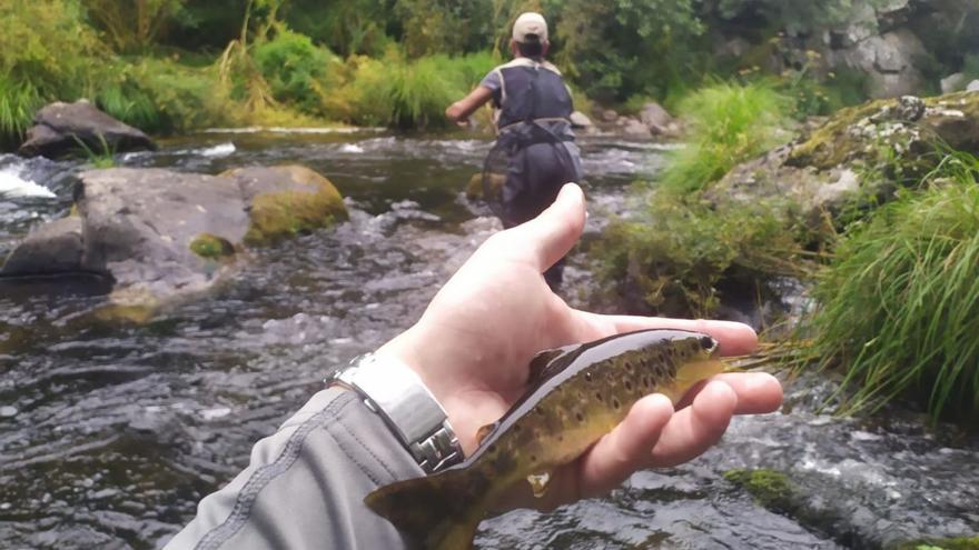 Campeonato social organizado en 2019 en el coto de Carboeiro por el Club de Pesca Río Deza.