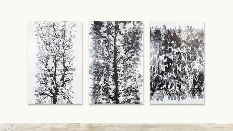 Agustín Serisuelo expandeix la fotografia a la Llotja del Cànem de Castelló