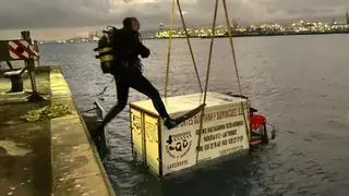 Susto en el Puerto de Las Palmas: un camión sin freno cae al agua en el muelle Nelson Mandela