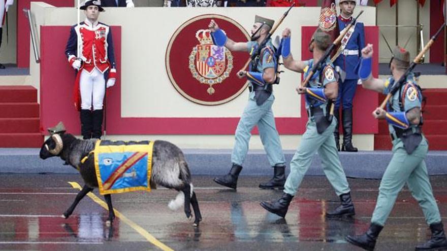 &#039;Miura&#039;, la cabra de la Legión, pasa con nota su primer desfile del 12-O