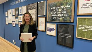 Carrasco "pone marco" a 2.500 quejas de vecinos de Castelló