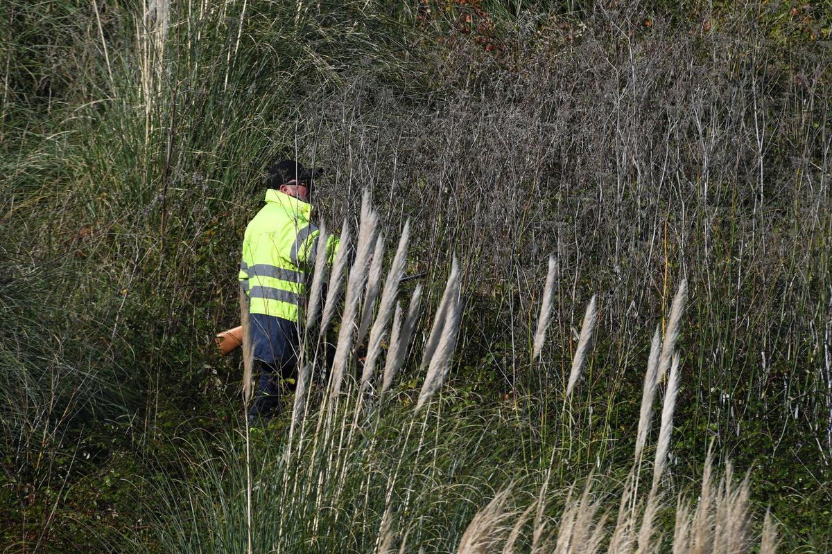Dispositivo de caza del jabalí en el aeropuerto de Alvedro