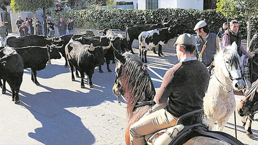 Viver celebra su segundo encierro campero