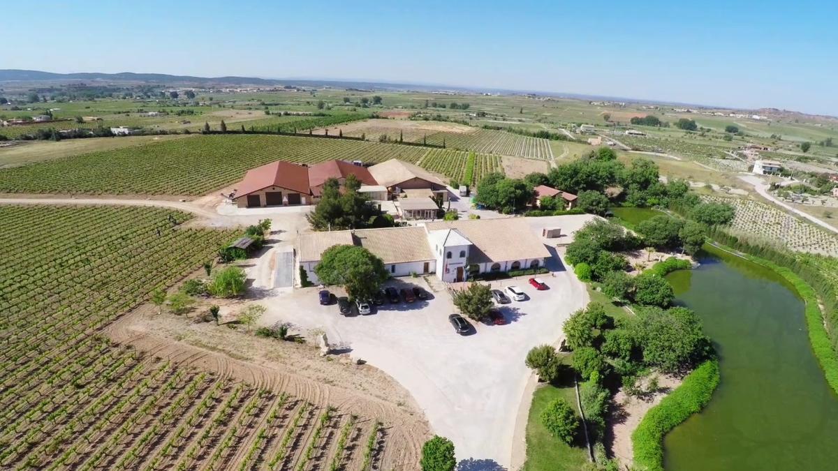 Pago de Tharsys es una de las bodegas más visitadas cada año.