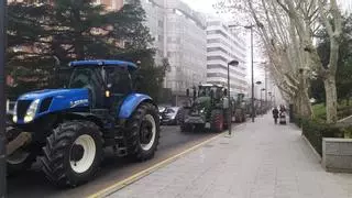 VÍDEOS Y GALERÍA | Las manifestaciones de los agricultores llegan a Zamora en forma de tractorada