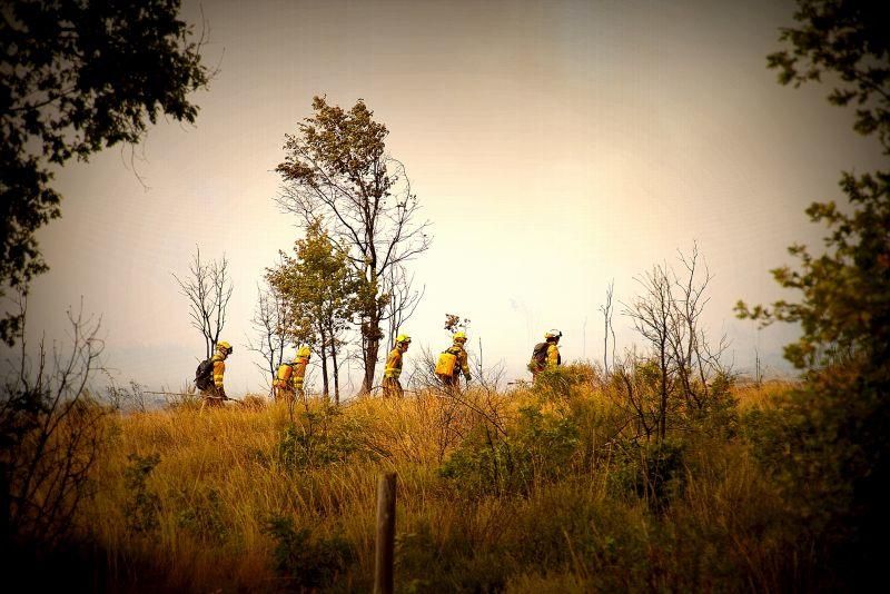 Imágenes del incendio forestal de Grisuela.