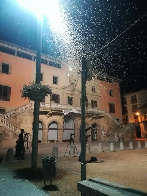 Plaga de papallones del boix a Ripoll