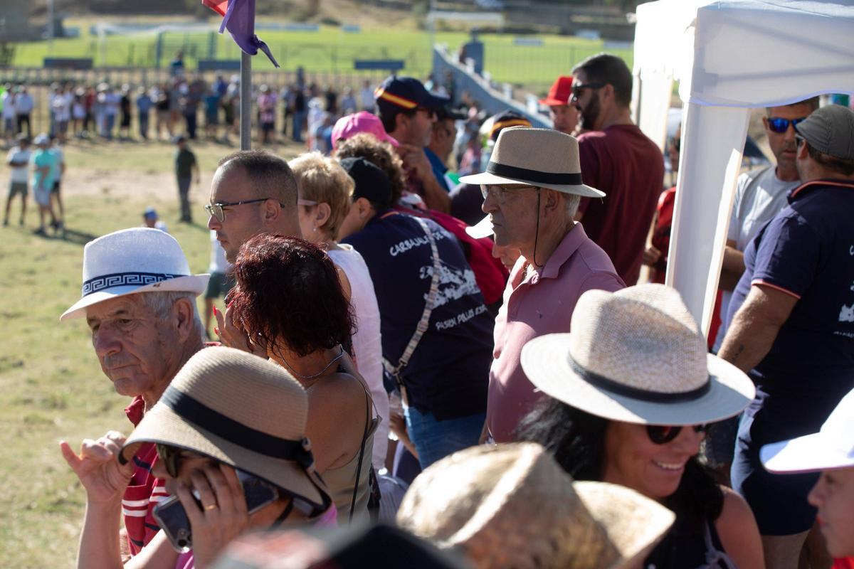 GALERÍA | Venialbo vibra con el encierro mixto de sus fiestas GALERÍA | Venialbo vibra con el encierro mixto de sus fiestas