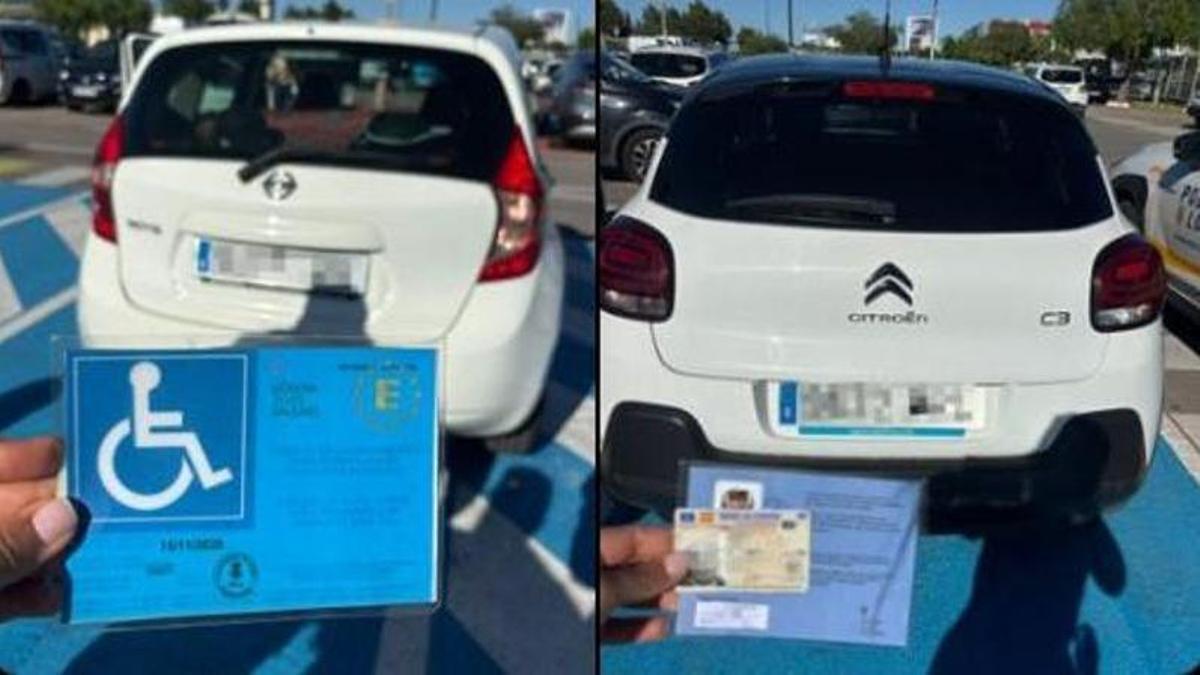 Los vehículos que fueron denunciados por la Policía Local de Palma.