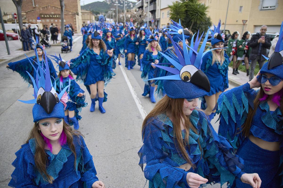 La rua del Carnaval de Santa Cristina d'Aro en imatges La rua del Carnaval de Santa Cristina d'Aro en imatges