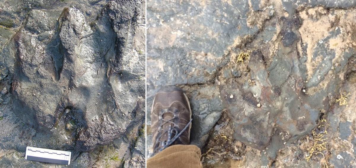 EPA5091. BENURONG MARINE PARK (AUSTRALIA), 20/12/2017.- Combo fotográfico facilitado por Parks Victoria hoy, 20 de diciembre de 2017 que muestra una huella de un dinosaurio de 115 millones de años antes del ataque (izq) y después del acto vandálico en Flat Rocks, Benurong Marine Park, Victoria (Australia). EFE/ Parks Victoria Handout SOLO USO EDITORIAL PROHIBIDA SU VENTA PROHIBIDO SU USO EN AUSTRALIA Y NUEVA ZELANDA