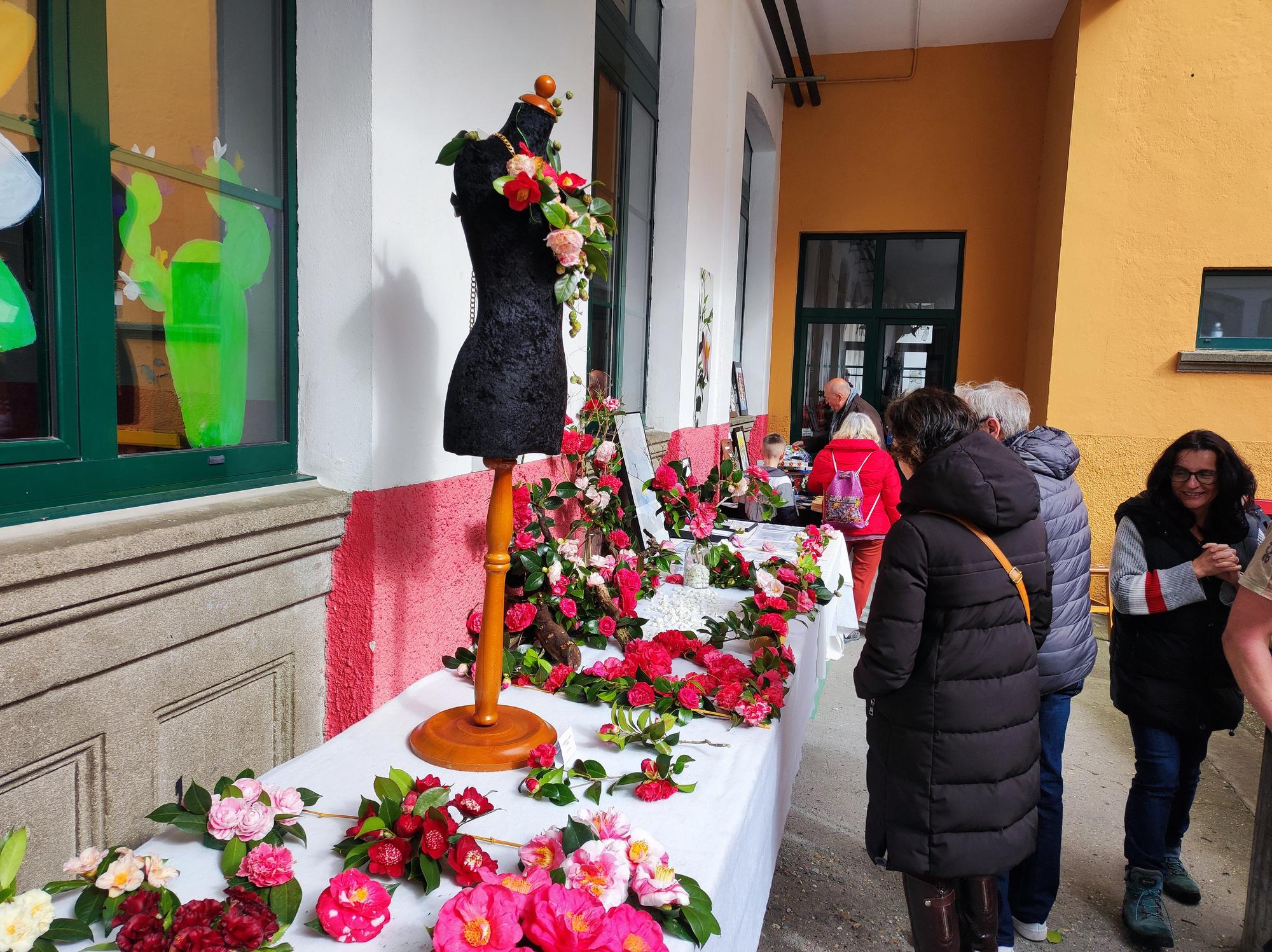 Las camelias llenan de color el colegio Padre Galo, de Luarca