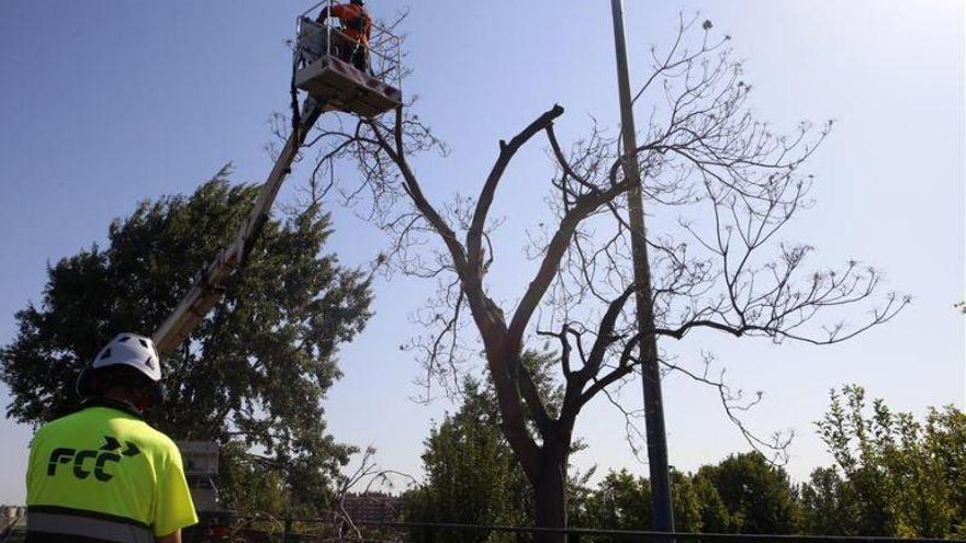 Los trabajadores de FCC apelan a la empresa para evitar la huelga indefinida