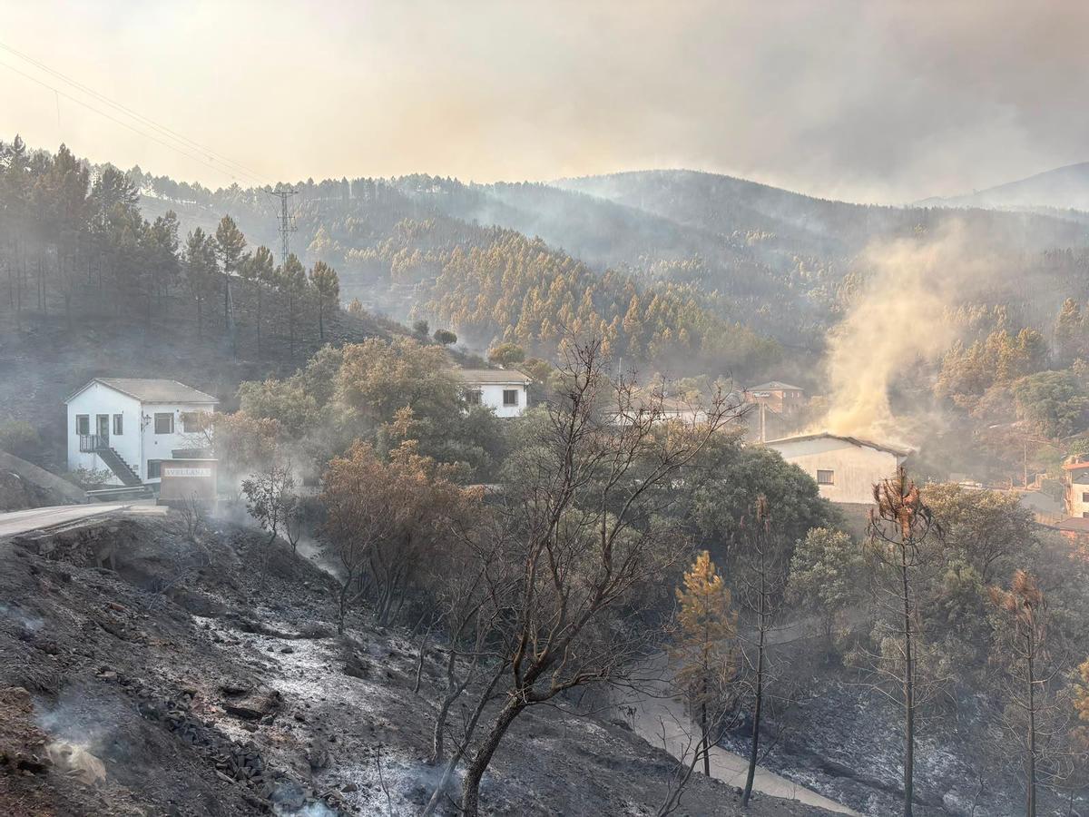 Incendio en Avellanar.